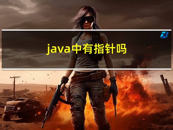 java中有指针吗的相关图片