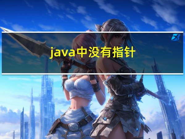 java中没有指针的相关图片