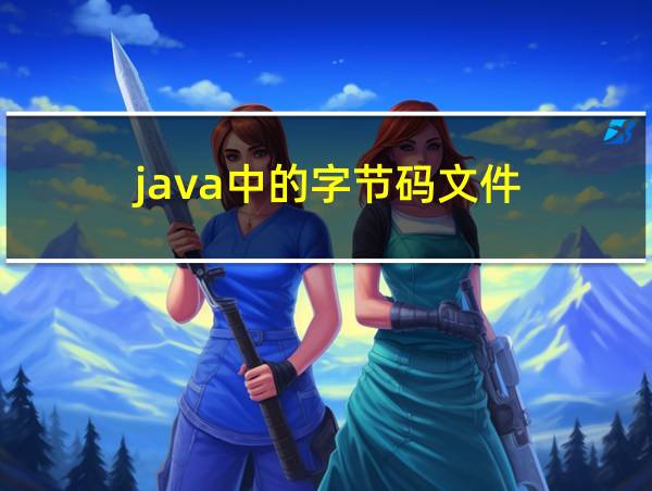 java中的字节码文件的相关图片