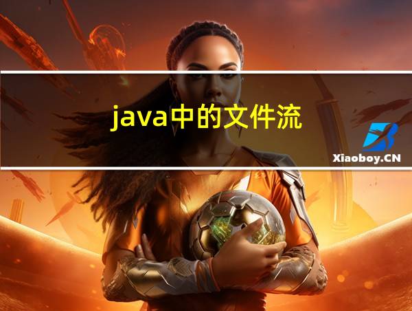 java中的文件流的相关图片