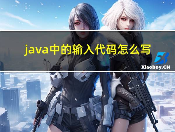 java中的输入代码怎么写的相关图片