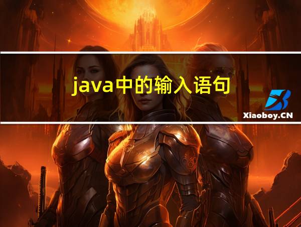 java中的输入语句的相关图片