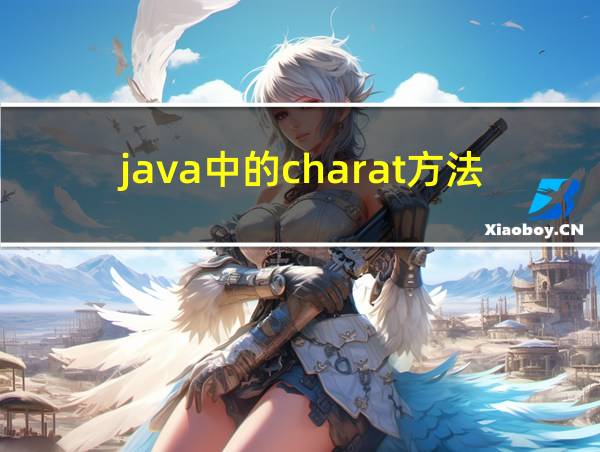 java中的charat方法用法的相关图片