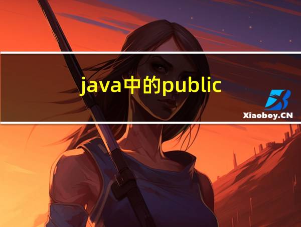 java中的public的相关图片