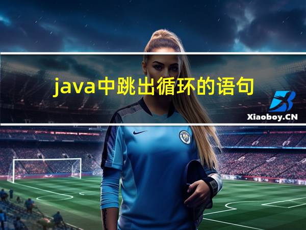 java中跳出循环的语句的相关图片