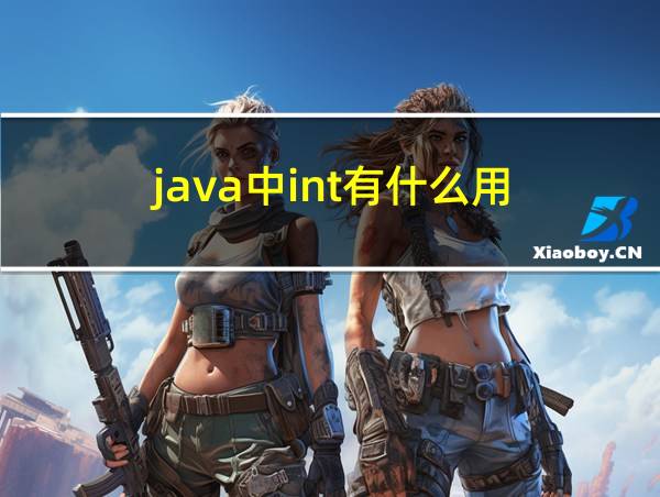 java中int有什么用的相关图片