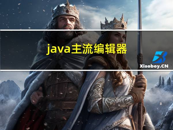 java主流编辑器的相关图片