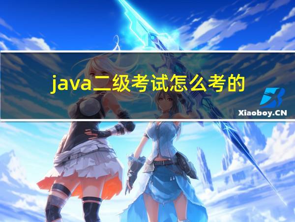 java二级考试怎么考的的相关图片