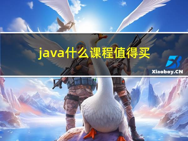 java什么课程值得买的相关图片