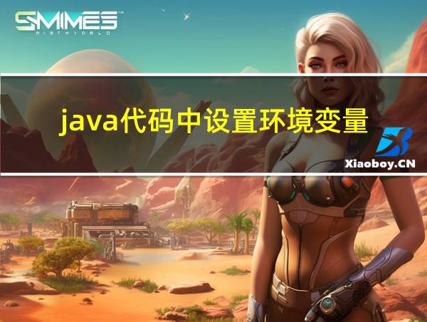 java代码中设置环境变量的相关图片