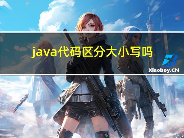 java代码区分大小写吗的相关图片