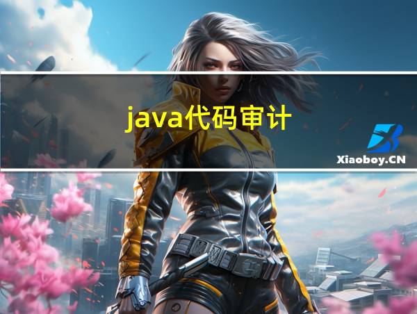 java代码审计的相关图片