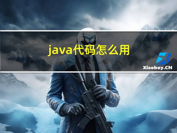 java代码怎么用的相关图片