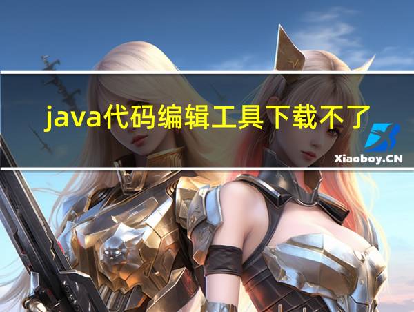 java代码编辑工具下载不了的相关图片