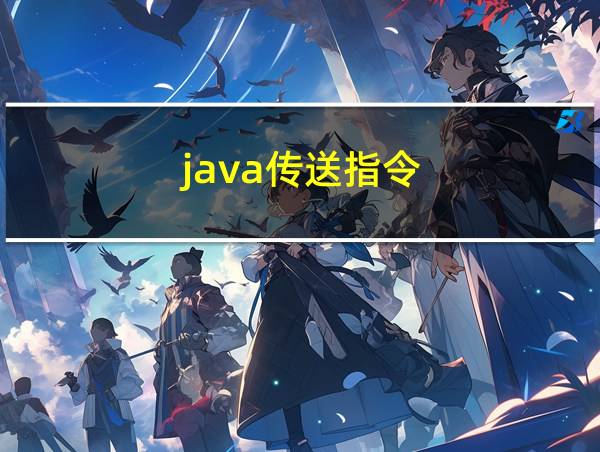 java传送指令的相关图片