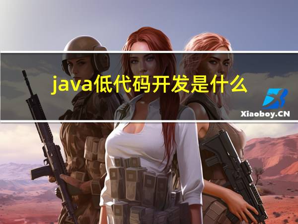 java低代码开发是什么的相关图片