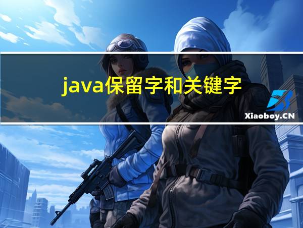 java保留字和关键字的相关图片