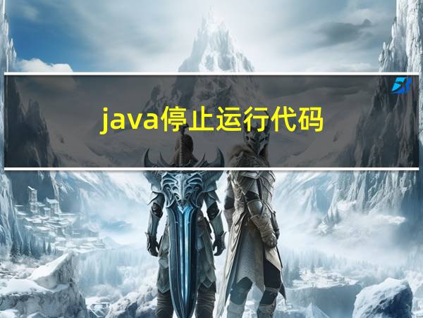 java停止运行代码的相关图片