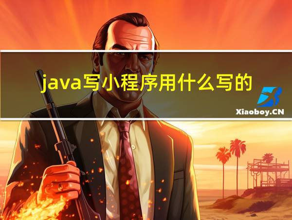 java写小程序用什么写的的相关图片