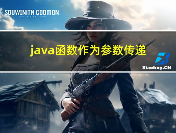 java函数作为参数传递的相关图片