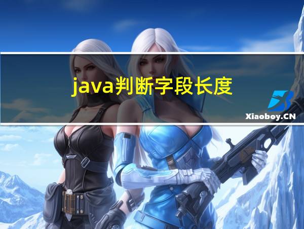 java判断字段长度的相关图片