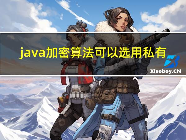 java加密算法可以选用私有算法吗为什么的相关图片