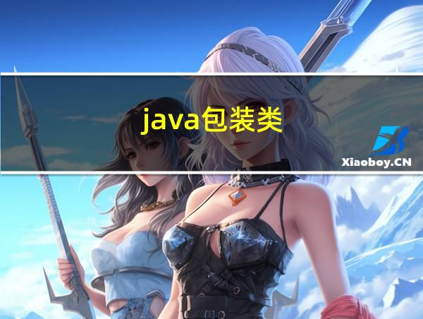 java包装类的相关图片