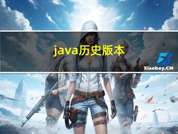 java历史版本的相关图片