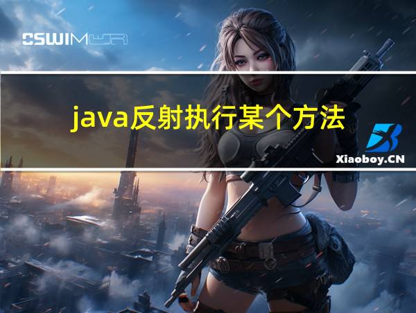 java反射执行某个方法的相关图片