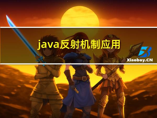 java反射机制应用的相关图片