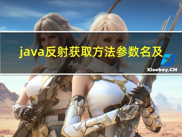 java反射获取方法参数名及类型的相关图片