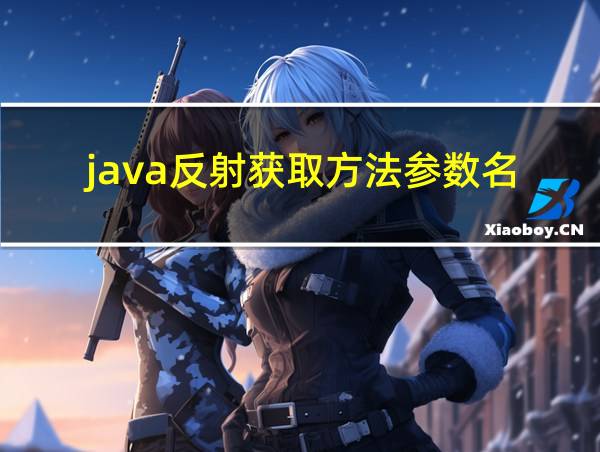 java反射获取方法参数名的相关图片