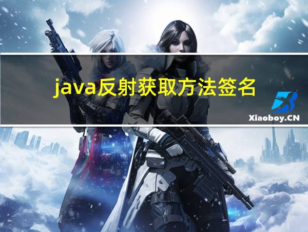 java反射获取方法签名的相关图片