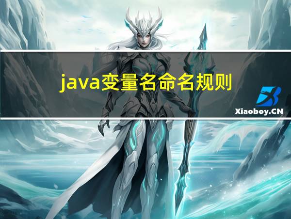 java变量名命名规则的相关图片