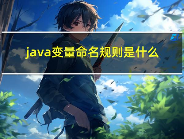 java变量命名规则是什么的相关图片