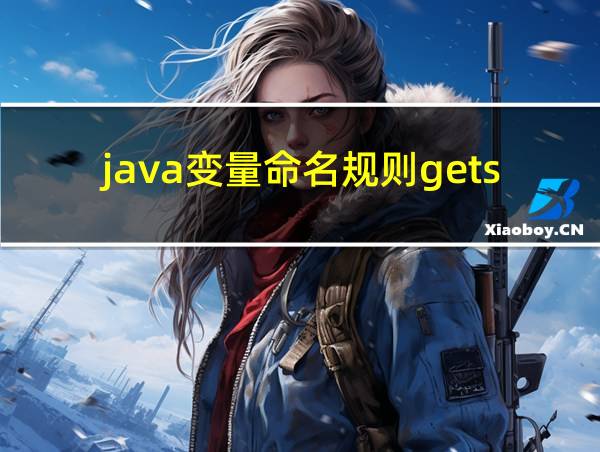 java变量命名规则getset的相关图片