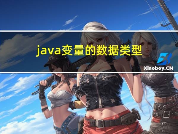 java变量的数据类型的相关图片