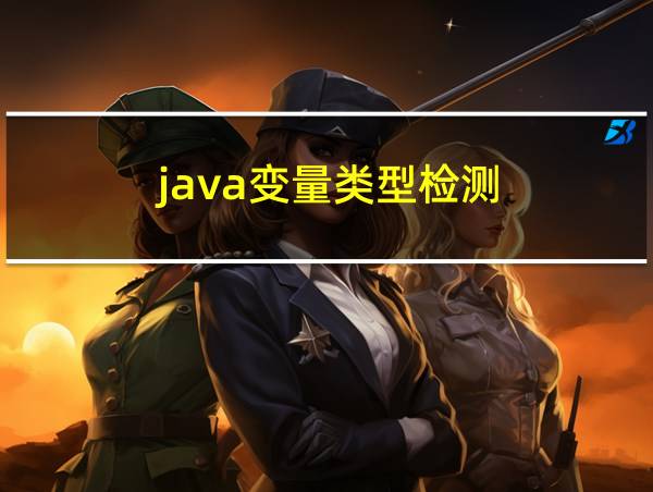 java变量类型检测的相关图片