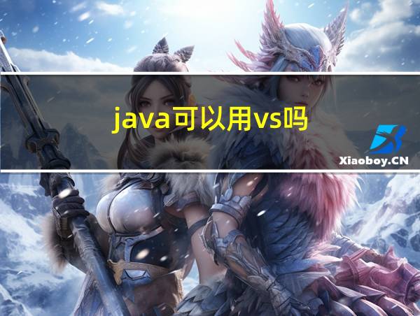 java可以用vs吗的相关图片