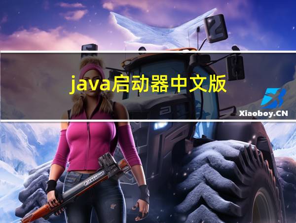 java启动器中文版的相关图片