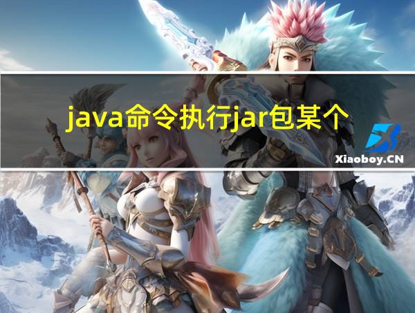 java命令执行jar包某个方法的相关图片