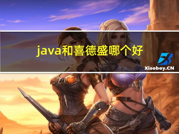 java和喜德盛哪个好的相关图片