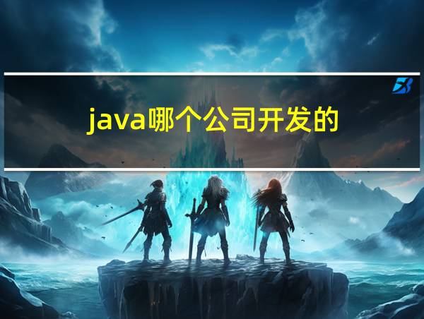 java哪个公司开发的的相关图片