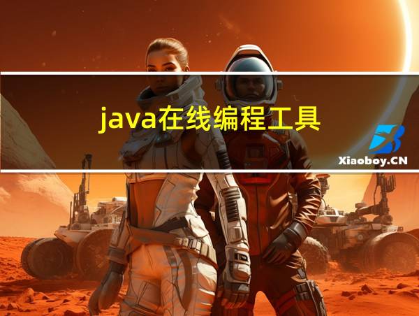 java在线编程工具的相关图片