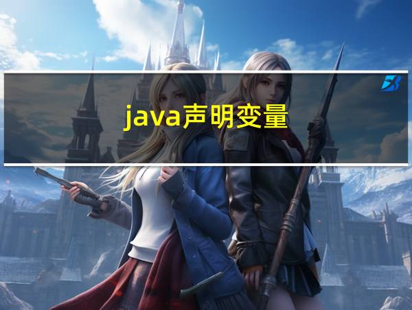 java声明变量的相关图片