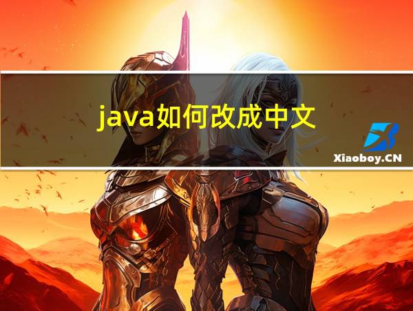 java如何改成中文的相关图片