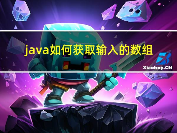 java如何获取输入的数组的相关图片