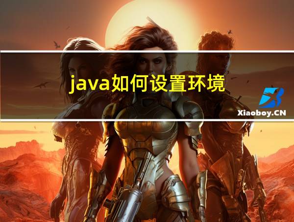 java如何设置环境的相关图片