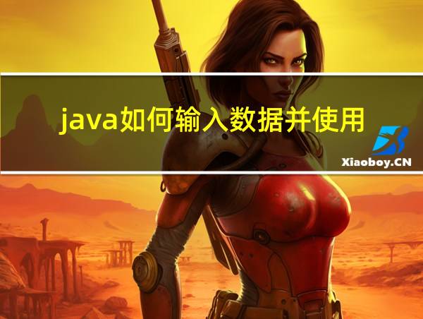 java如何输入数据并使用的相关图片