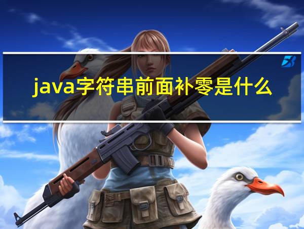 java字符串前面补零是什么的相关图片